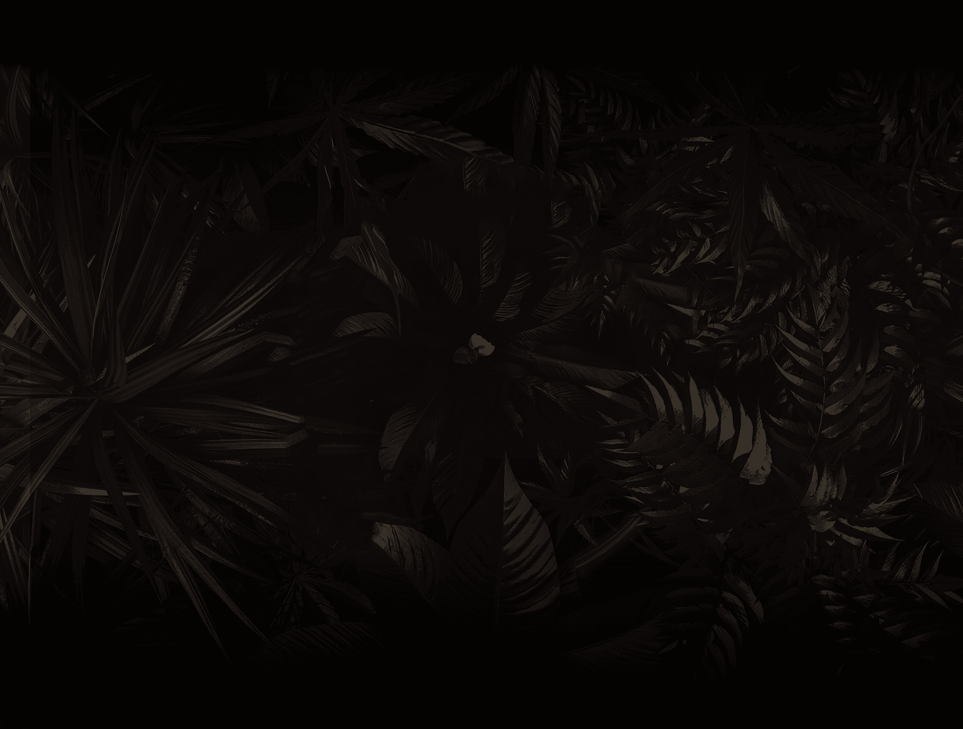 Welcome Background